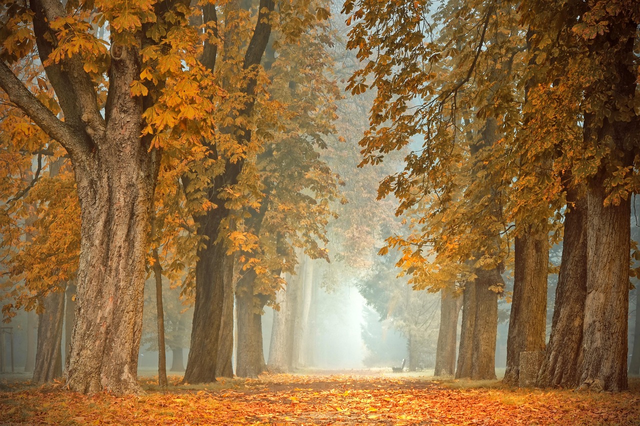 Tafel gedekt met warmkleurige herfsttafelloper. Tafel gedekt met warmkleurige herfsttafelloper.