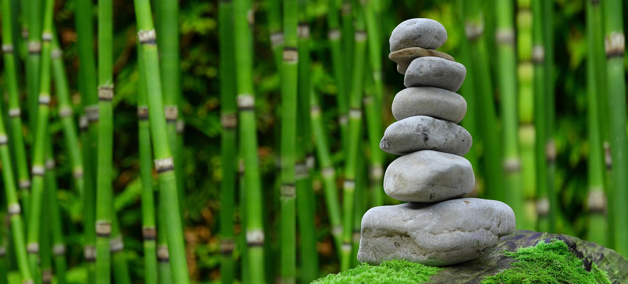Waterpartij omgeven door groene, meditatieve beplanting.