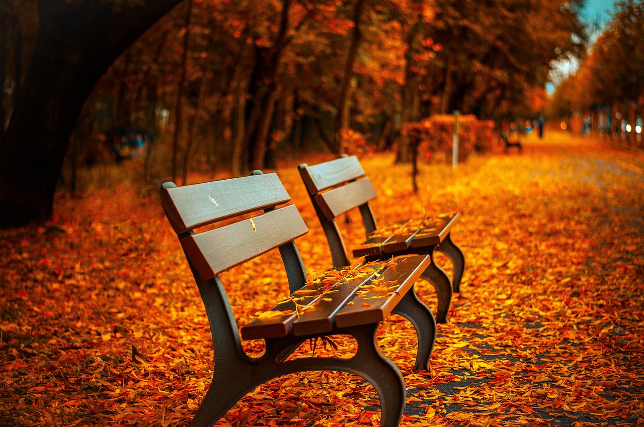 Herfstlandschap met harmonieuze bruine tinten. Herfstlandschap met harmonieuze bruine tinten.