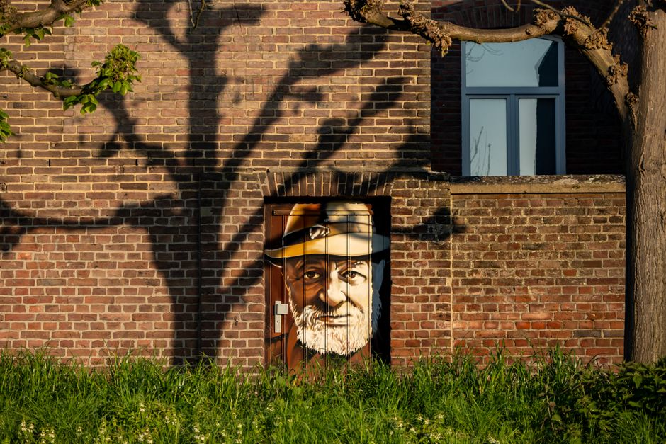 Ezels omgetoverd tot stijlvolle decorstukken Ezels omgetoverd tot stijlvolle decorstukken