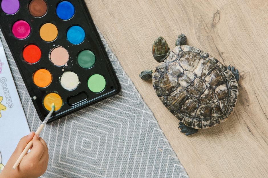Schilderij van schildpad in kalme wateren. Schilderij van schildpad in kalme wateren.